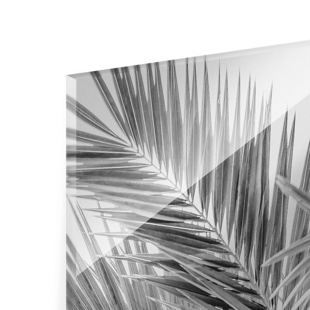 Tableaux Feuilles de palmier argentées