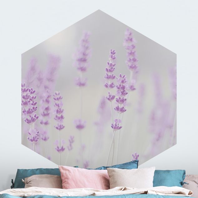 Papiers peints modernes Summer In A Field Of Lavender