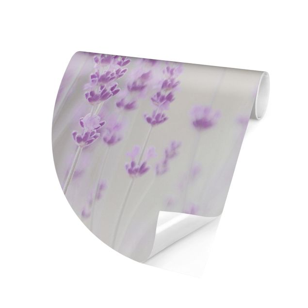papier peint fleuri Summer In A Field Of Lavender