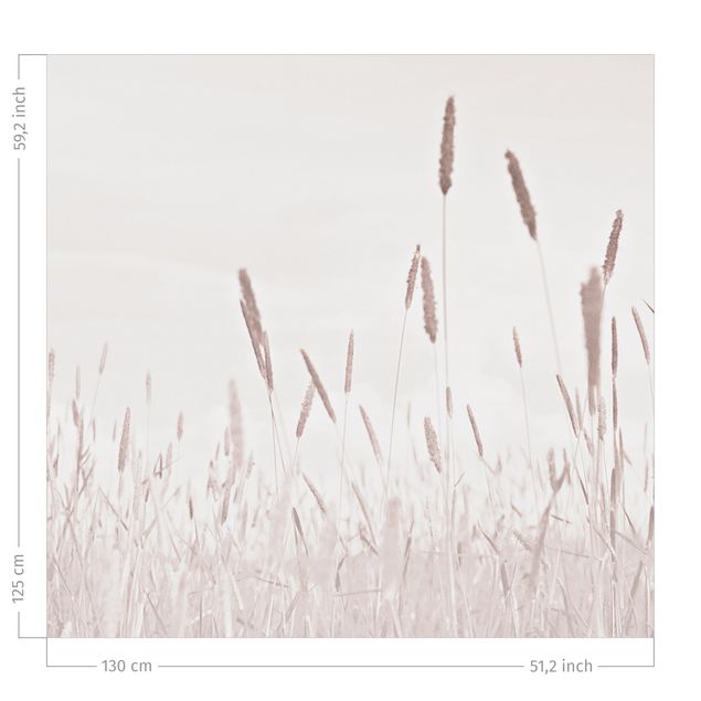 rideaux modernes Summerly Reed Grass