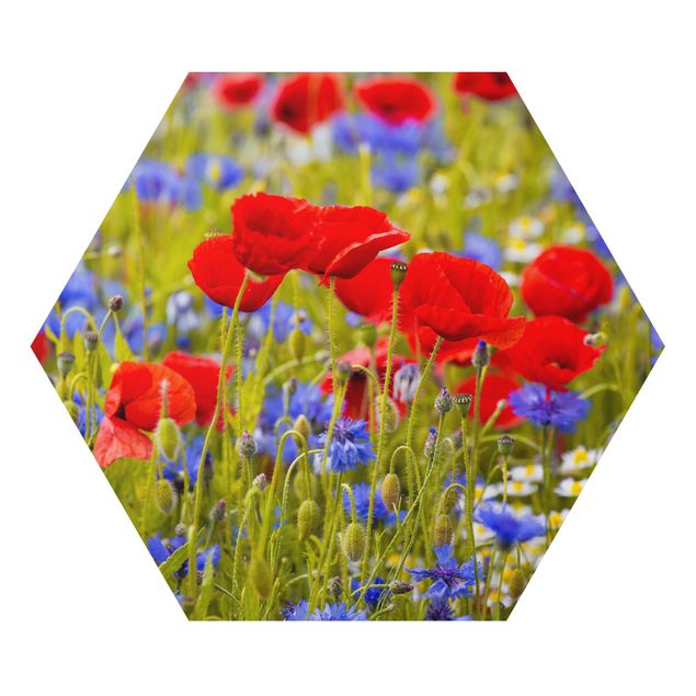 Tableau dominante rouge Summer Meadow With Poppies And Cornflowers