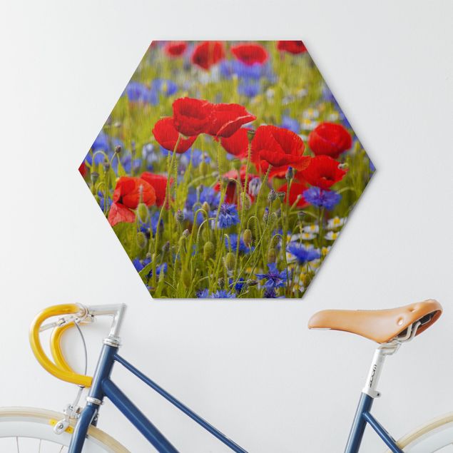 Hexagone en alu Dibond - Summer Meadow With Poppies And Cornflowers