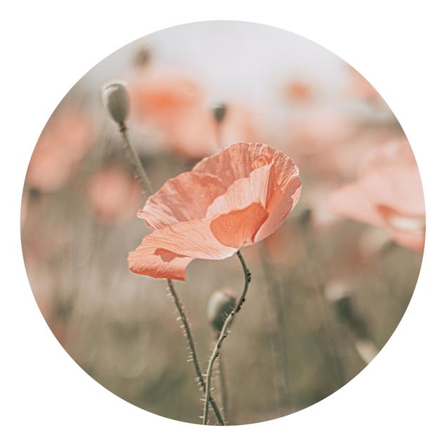 papier peint fleuri Sun-Kissed Poppy Fields