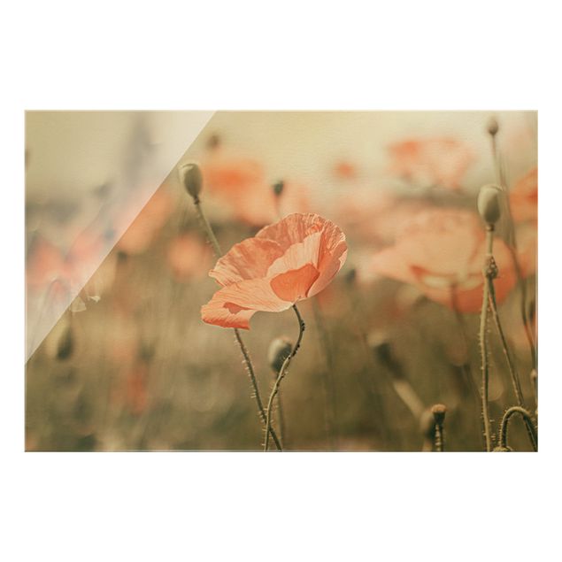 Tableau moderne Sun-Kissed Poppy Fields