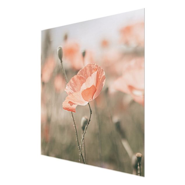 Tableau rouge Sun-Kissed Poppy Fields