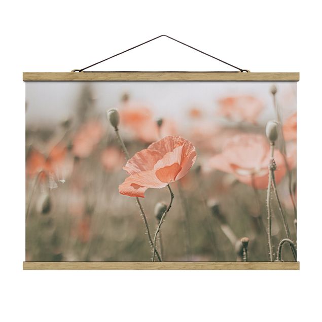 tableaux floraux Sun-Kissed Poppy Fields