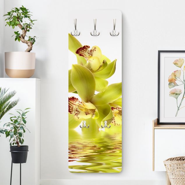 Porte-manteaux muraux avec fleurs Splendide eau d'orchidée