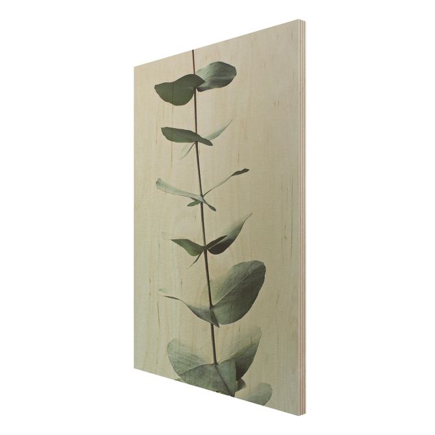Tableau décoration Brindille symétrique d'eucalytus
