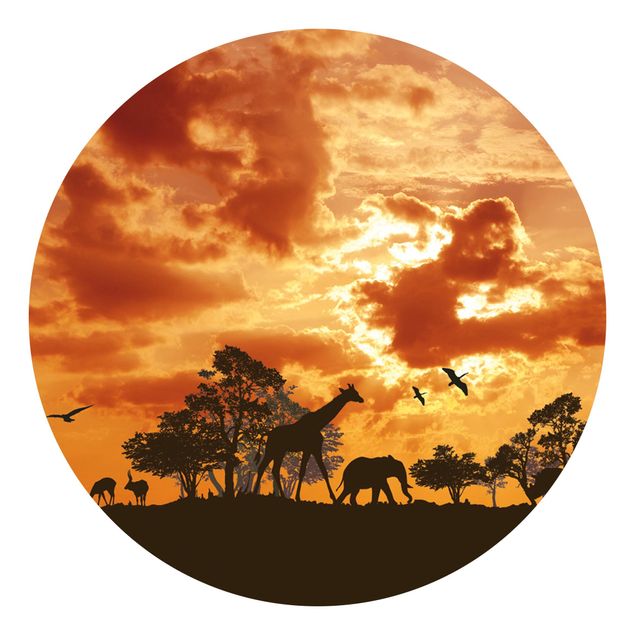 Papier peint panoramique girafe Coucher de soleil en Tanzanie