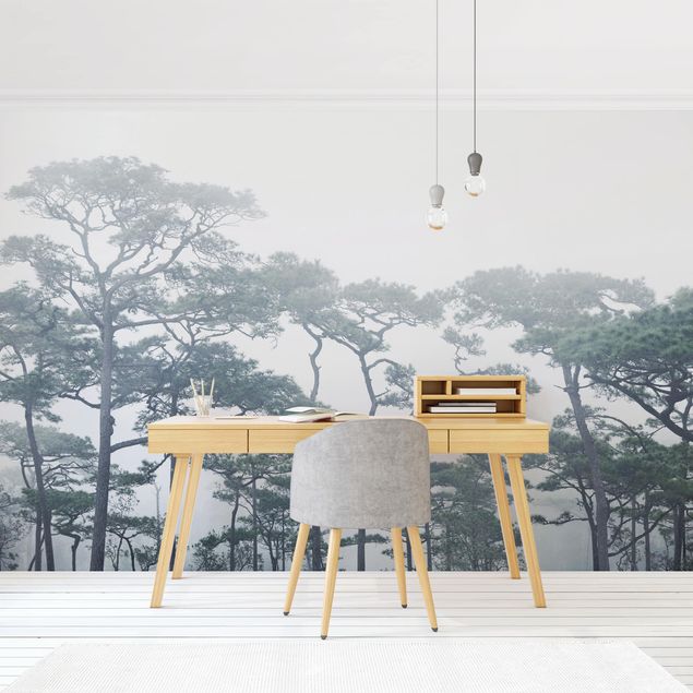 Papier peint panoramique forêt Cimes d'arbres dans le brouillard
