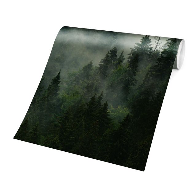 Papier peint vert Forêt de sapins vert foncé dans le brouillard
