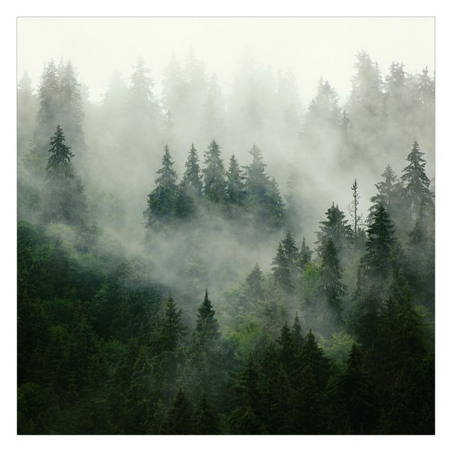 Papier peint panoramique Forêt de sapins vert foncé dans le brouillard