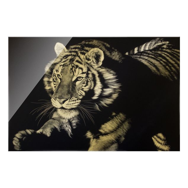 Tableaux animaux Tigre dans la lumière du soleil sur le noir