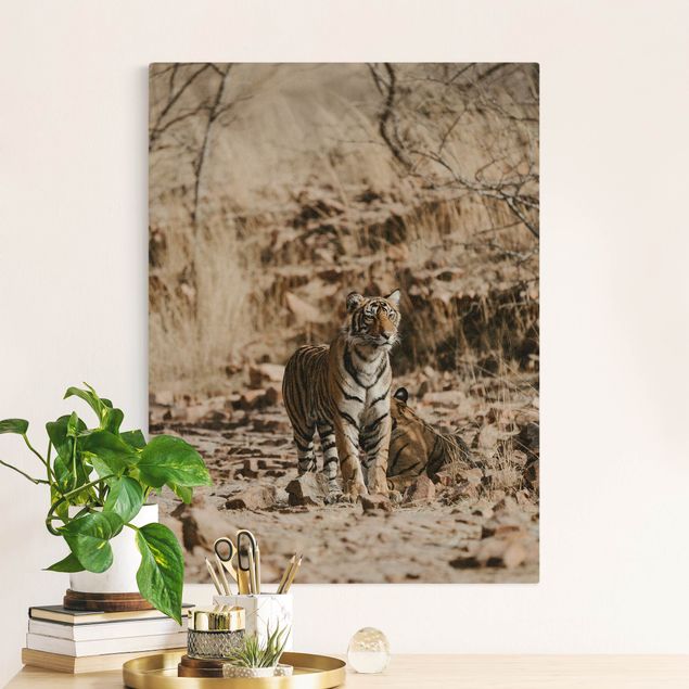 Tableau toile chat Tigre dans la nature