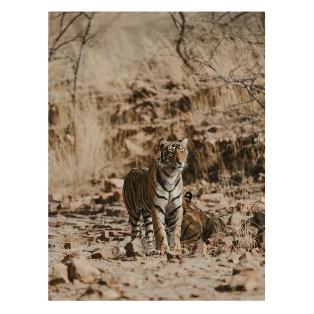 Tableau animaux Tigre dans la nature