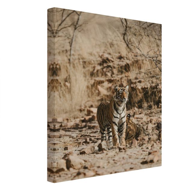 Tableau toile animaux Tigre dans la nature