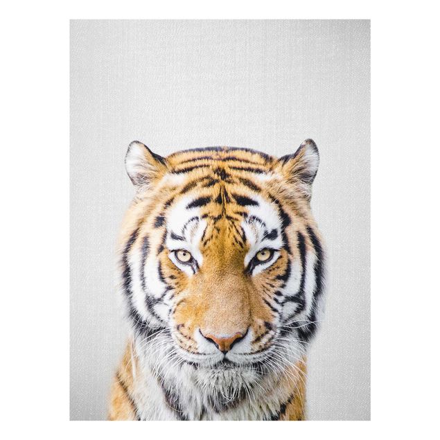 Cadre animaux Tigre Tiago