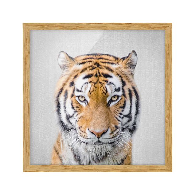 Affiches encadrées animaux Tigre Tiago