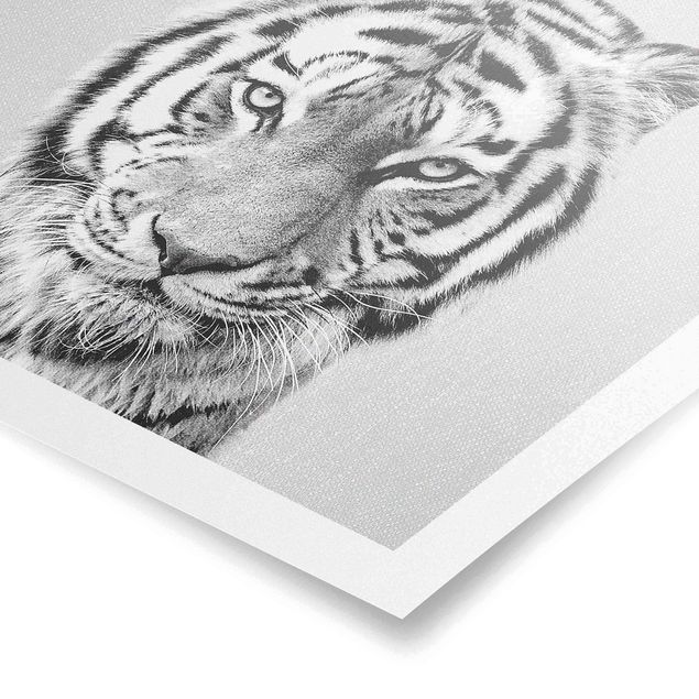 Tableau animaux Tigre Tiago Noir Et Blanc