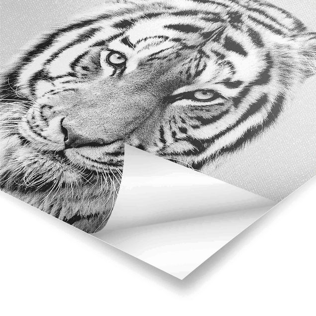 Tableau décoration Tigre Tiago Noir Et Blanc