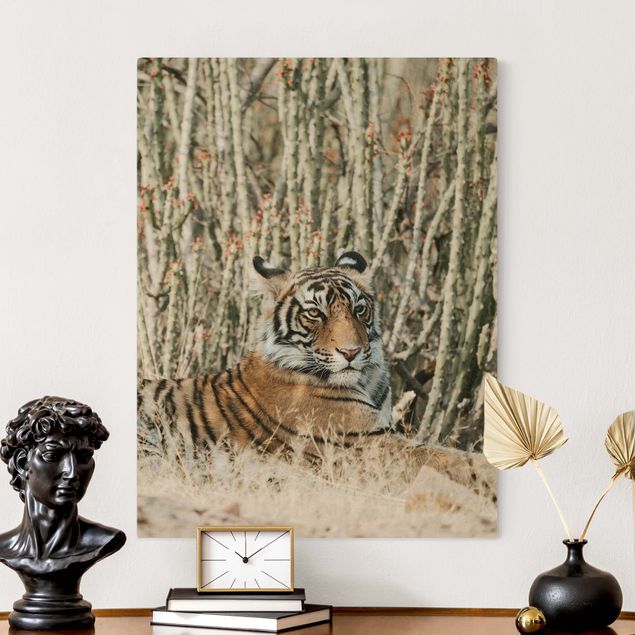 Tableau tigres Tigre avec cacts