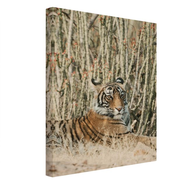 Toile imprimée animaux Tigre avec cacts