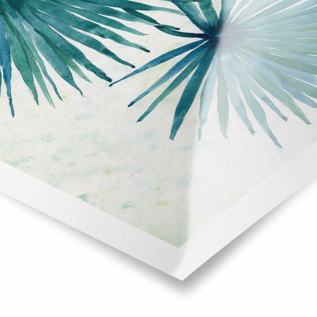 Tableaux muraux Feuilles de palmier tropicales en gros plan