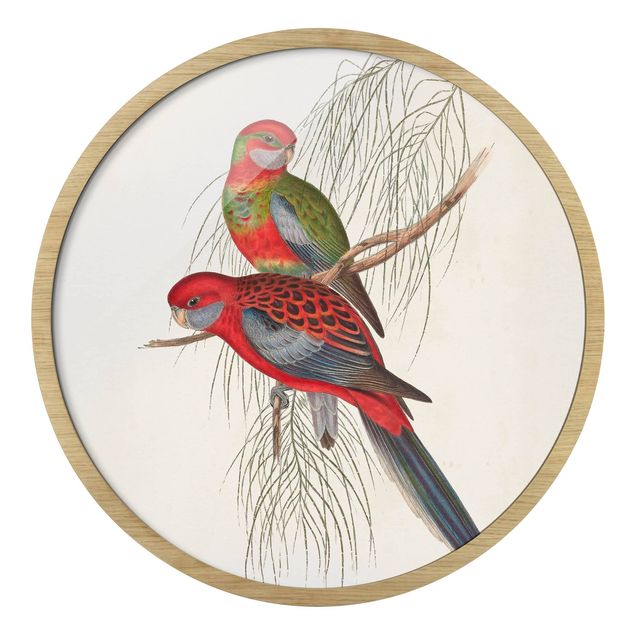 Tableau rouge Tropical Parrot III