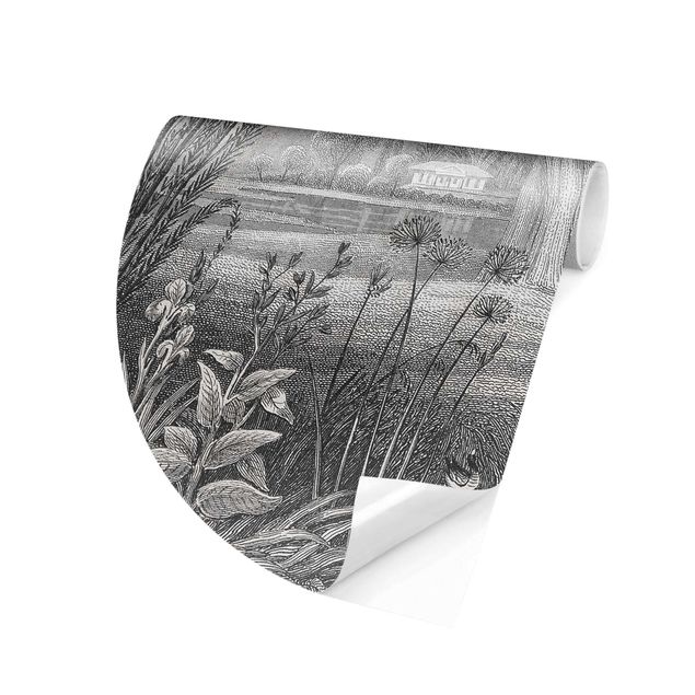 Papiers peints gris Gravure tropicale en cuivre jardin avec étang, en gris