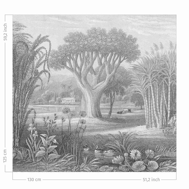 rideaux cuisine moderne Tropical Copperplate Engraving Garden With Pond In Grey