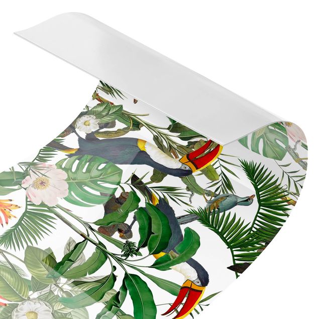 Revêtement mural cuisine Toucan Tropical avec Monstera et Feuilles de Palmier