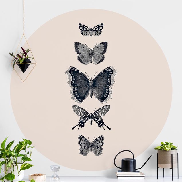 Papier peint rond autocollant - Ink Butterflies On Beige Backdrop