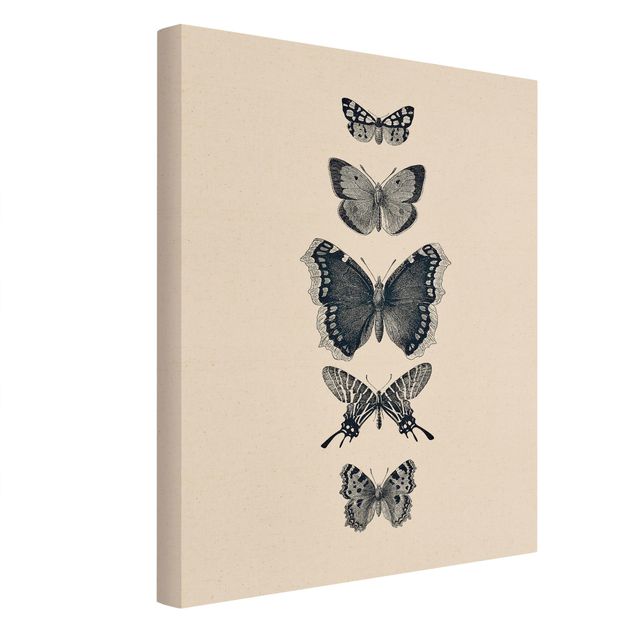 Tableau toile animaux Papillons à l'encre sur fond beige