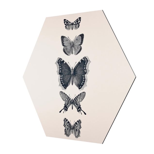 Tableaux muraux Papillons à l'encre sur fond beige