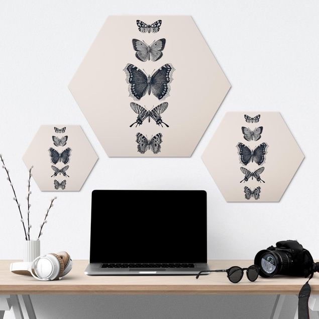 Hexagone en alu Dibond - Ink Butterflies On Beige Backdrop