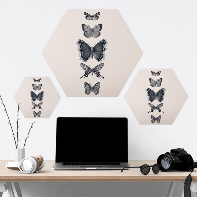 Hexagone en forex - Ink Butterflies On Beige Backdrop