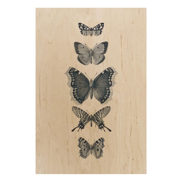 Tableau décoration Papillons à l'encre sur fond beige