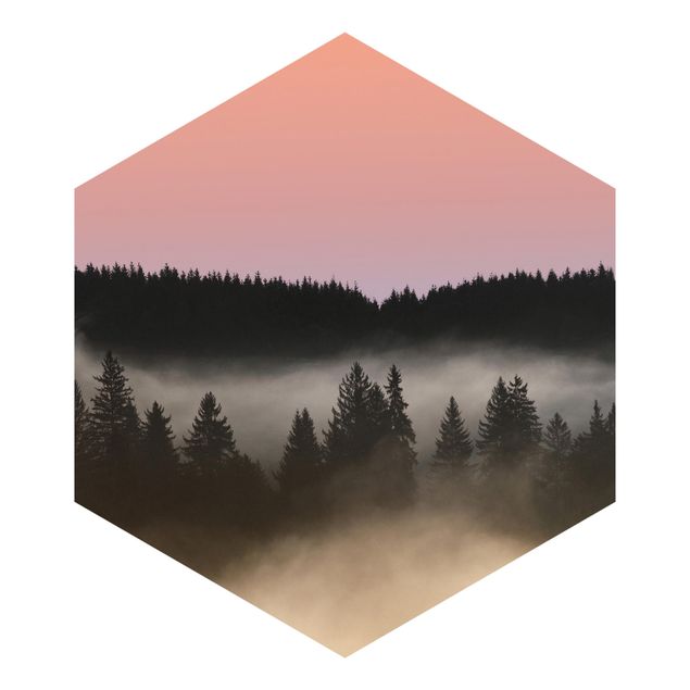 Papier peint panoramique Forêt brumeuse de rêve