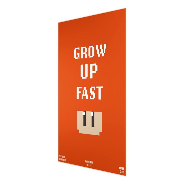Tableaux en verre magnétique Video Game Grow Up Fast In Red