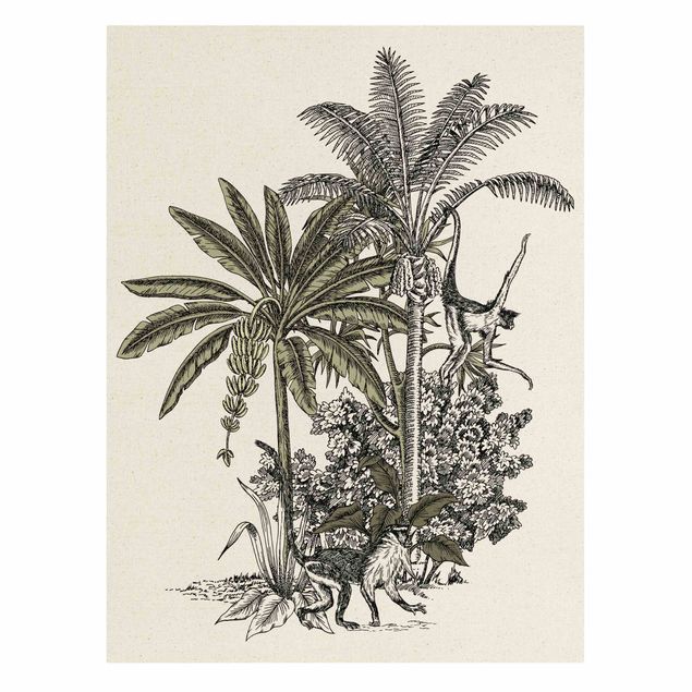 Tableaux fleurs Illustration Vintage - Singes et Palmiers