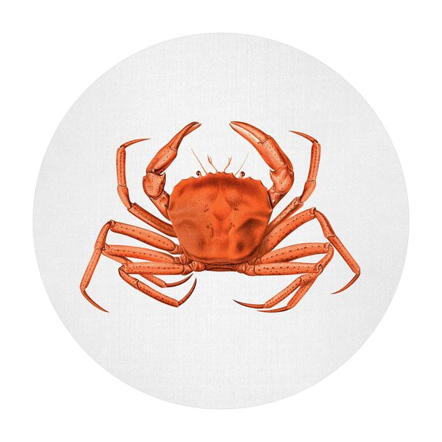 Tapis vinyle Illustration vintage Crabe Rouge