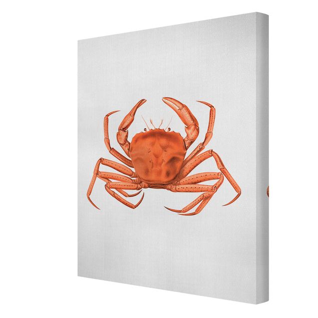 Tableaux modernes Illustration vintage Crabe Rouge