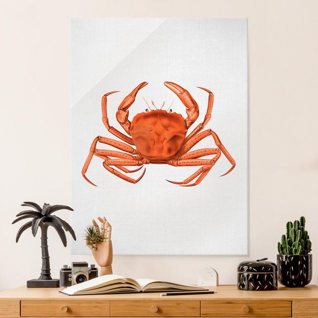 Tableau paysages Illustration vintage Crabe Rouge