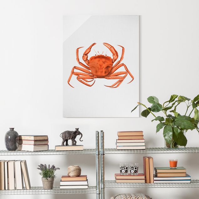Tableau bord de mer Illustration vintage Crabe Rouge