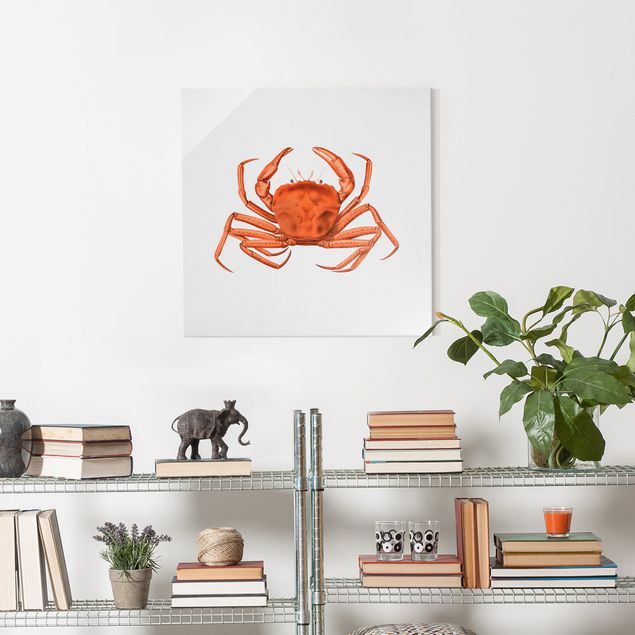 Tableau poisson Illustration vintage Crabe Rouge