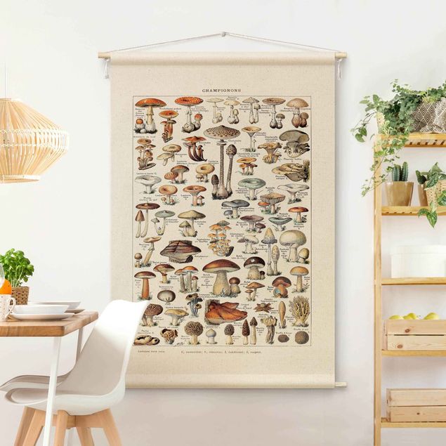 Déco murale cuisine Vintage Teaching Illustration Mushrooms