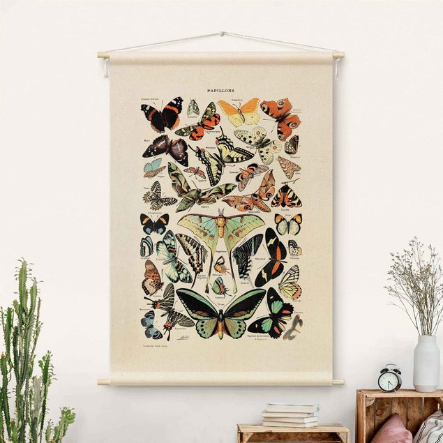 Déco murale cuisine Vintage Teaching Illustration Butterflies