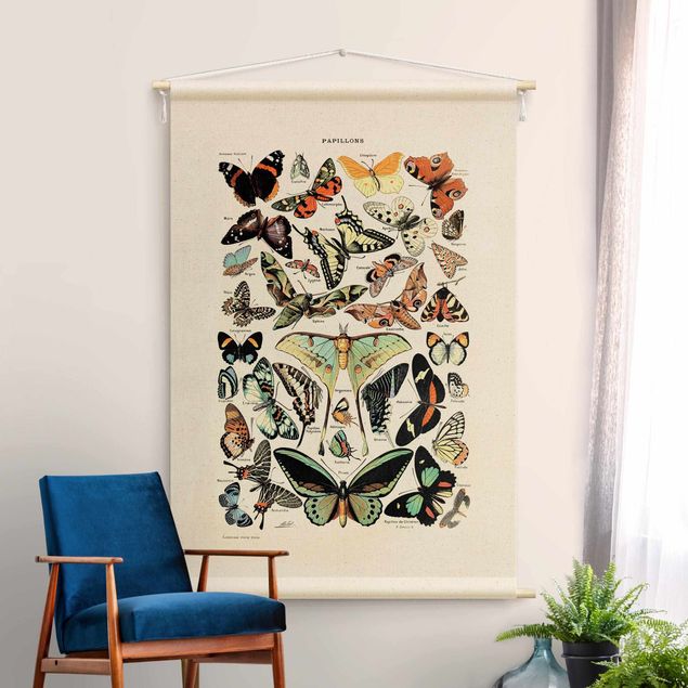 tenture murale contemporaine Vintage Teaching Illustration Butterflies