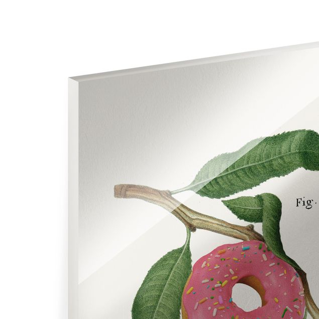 Tableau décoration Plante vintage - Donut