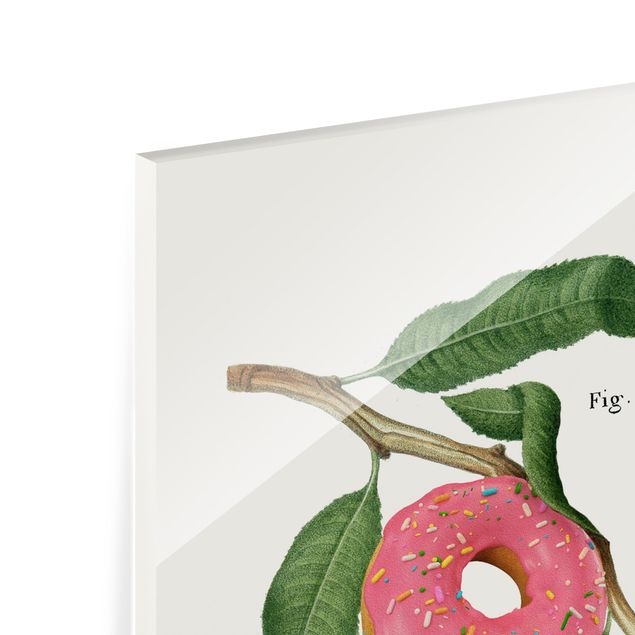 Tableaux en verre magnétique Plante vintage - Donut
